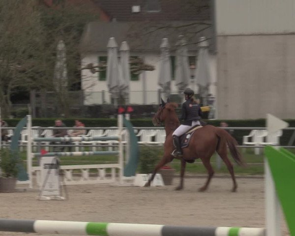 Reitturnier Langenfeld - Gut Langfort 2023