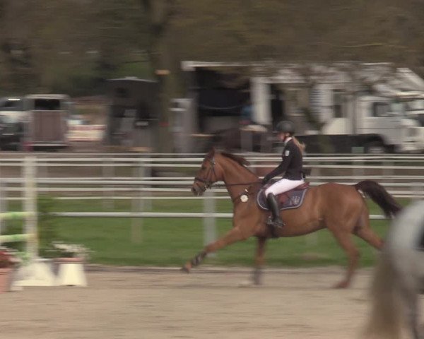 Reitturnier Langenfeld - Gut Langfort 2023