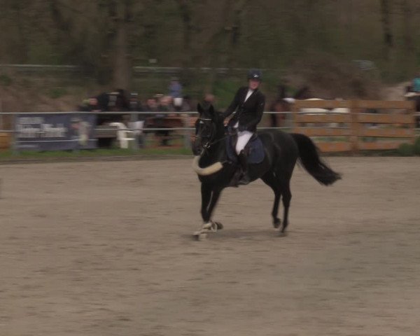 Reitturnier Langenfeld - Gut Langfort 2023