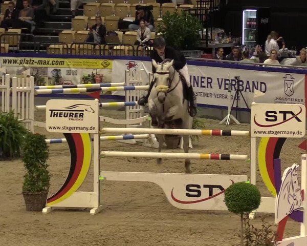 FEI Reitturnier Neumünster (GER) 2021