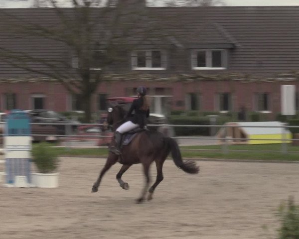 Reitturnier Langenfeld - Gut Langfort 2023