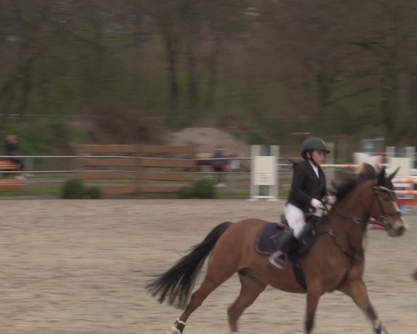 Reitturnier Langenfeld - Gut Langfort 2023