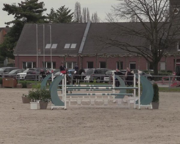 Reitturnier Langenfeld - Gut Langfort 2023