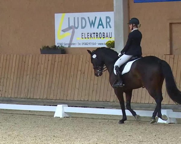Reitturnier Grafenrheinfeld/Ufr. 2021