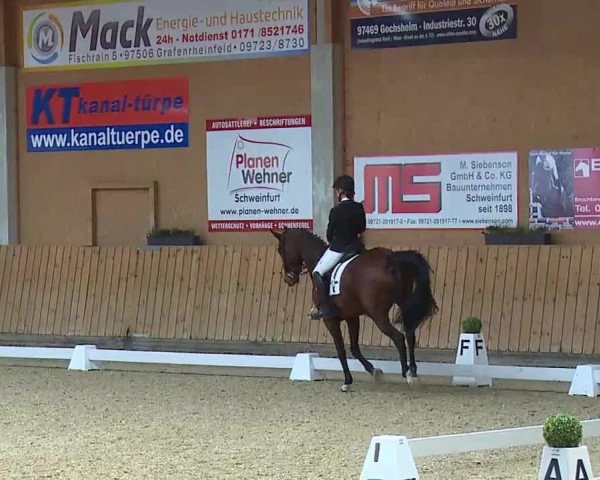 Reitturnier Grafenrheinfeld/Ufr. 2021