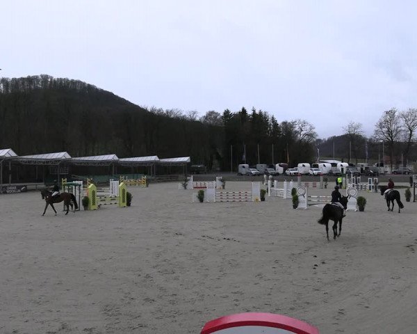 Reitturnier Balve-Wocklum 2023