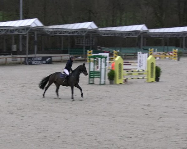 Reitturnier Balve-Wocklum 2023
