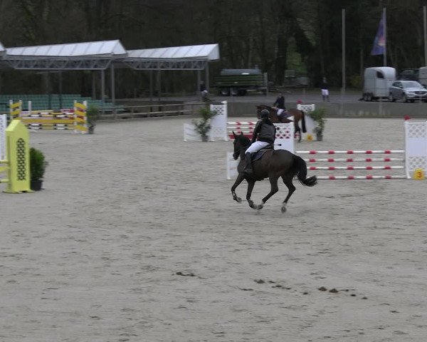 Reitturnier Balve-Wocklum 2023