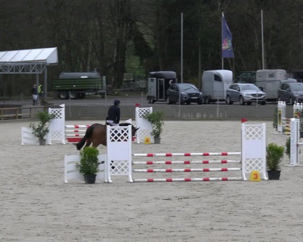 Reitturnier Balve-Wocklum 2023