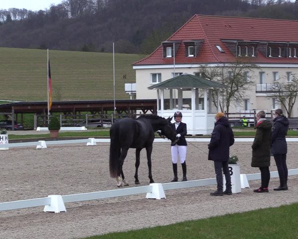 Reitturnier Balve-Wocklum 2023