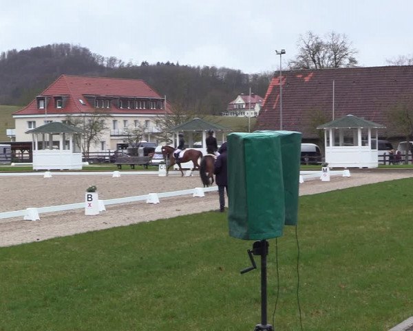 Reitturnier Balve-Wocklum 2023