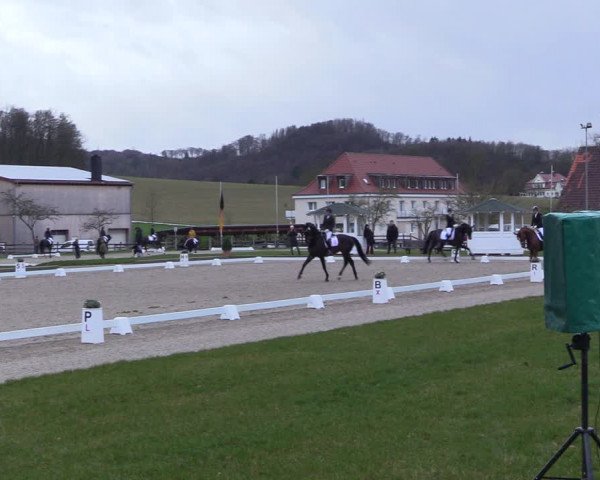 Reitturnier Balve-Wocklum 2023