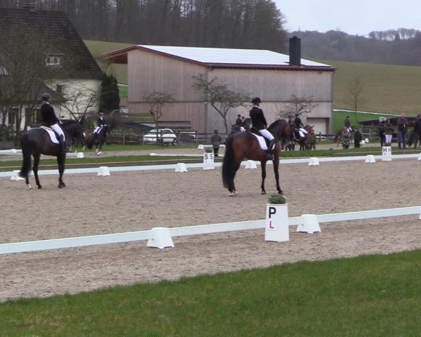 Reitturnier Balve-Wocklum 2023