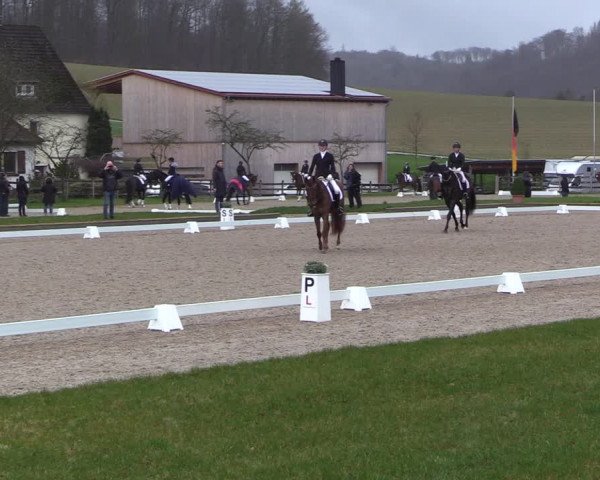 Reitturnier Balve-Wocklum 2023