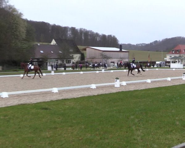 Reitturnier Balve-Wocklum 2023