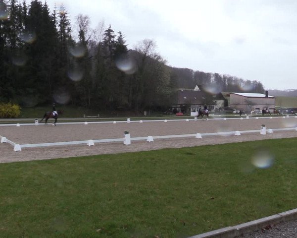 Reitturnier Balve-Wocklum 2023