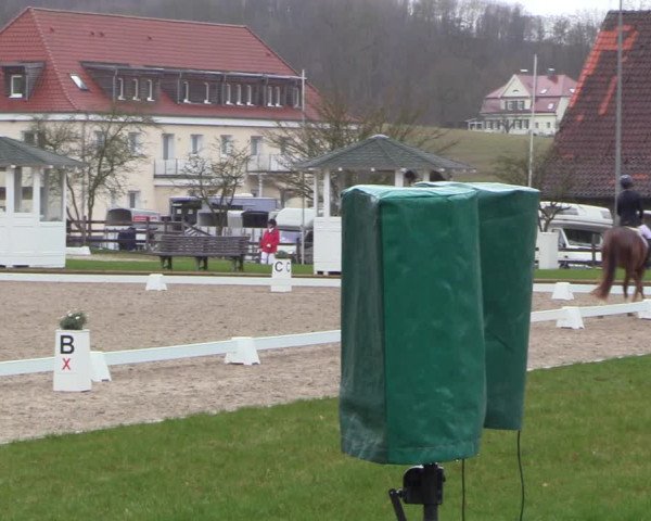 Reitturnier Balve-Wocklum 2023