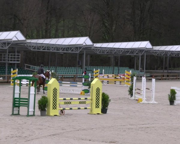 Reitturnier Balve-Wocklum 2023