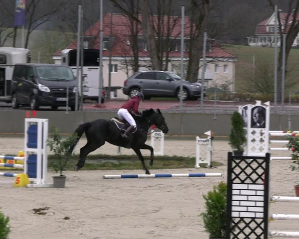 Reitturnier Balve-Wocklum 2023
