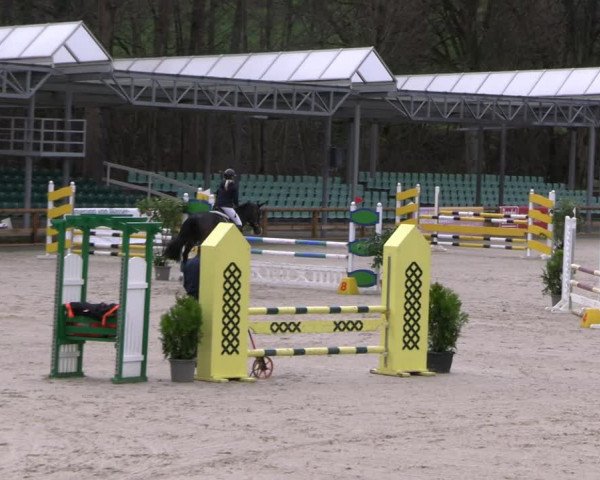 Reitturnier Balve-Wocklum 2023