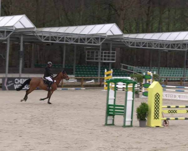 Reitturnier Balve-Wocklum 2023