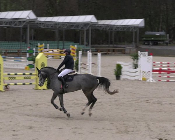 Reitturnier Balve-Wocklum 2023