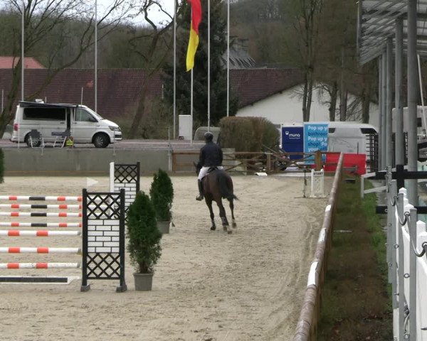 Reitturnier Balve-Wocklum 2023