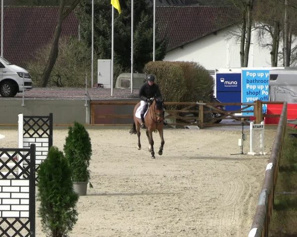 Reitturnier Balve-Wocklum 2023