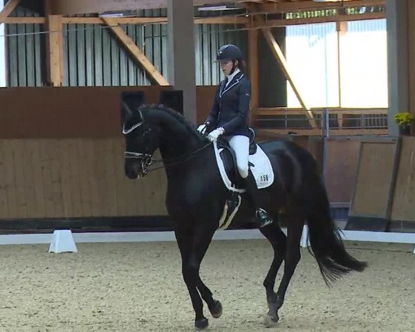 Reitturnier Grafenrheinfeld/Ufr. 2021