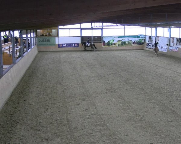 Reitturnier Borgholzhausen-Westbarthausen 2023