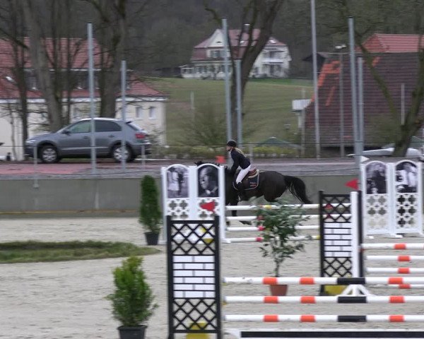 Reitturnier Balve-Wocklum 2023