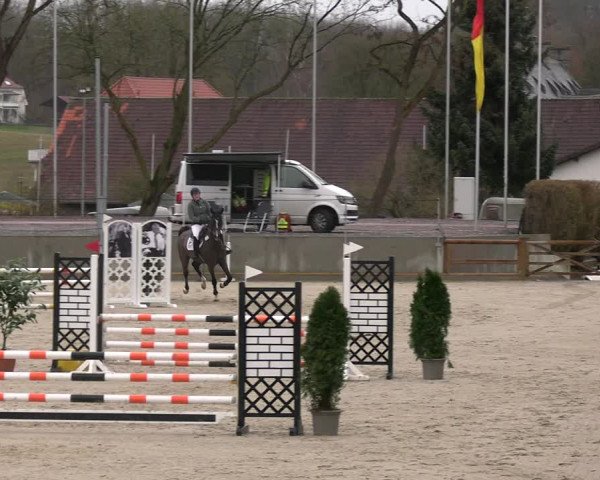 Reitturnier Balve-Wocklum 2023