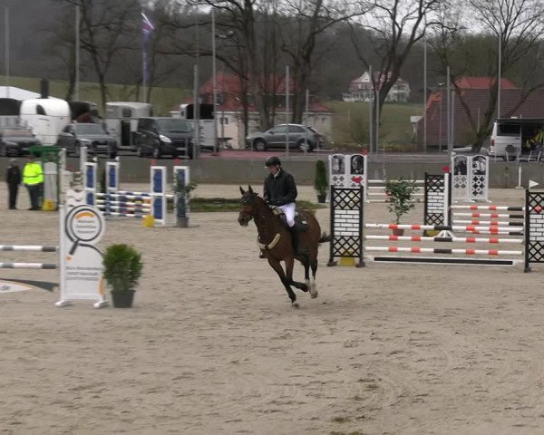 Reitturnier Balve-Wocklum 2023