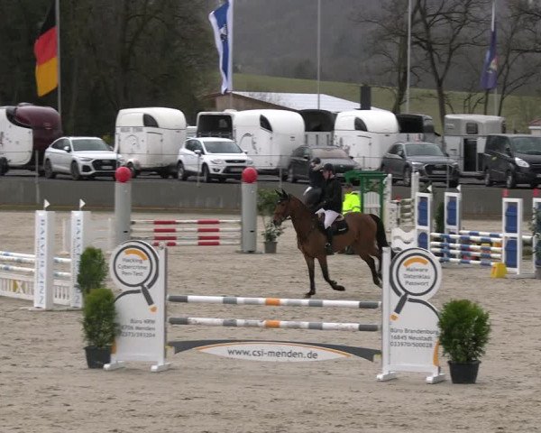 Reitturnier Balve-Wocklum 2023