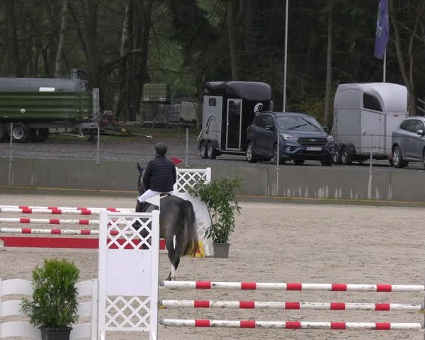 Reitturnier Balve-Wocklum 2023