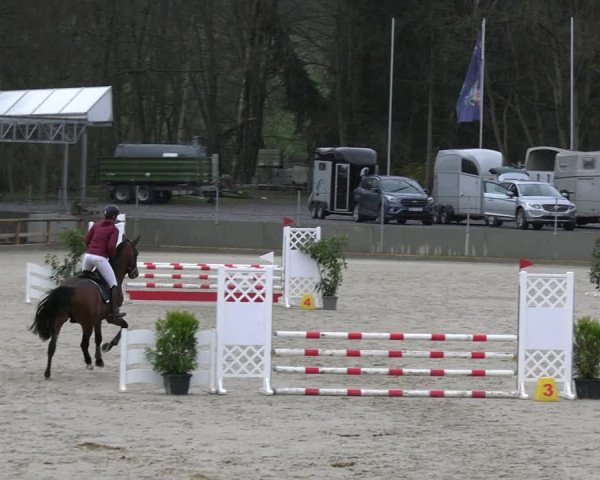 Reitturnier Balve-Wocklum 2023
