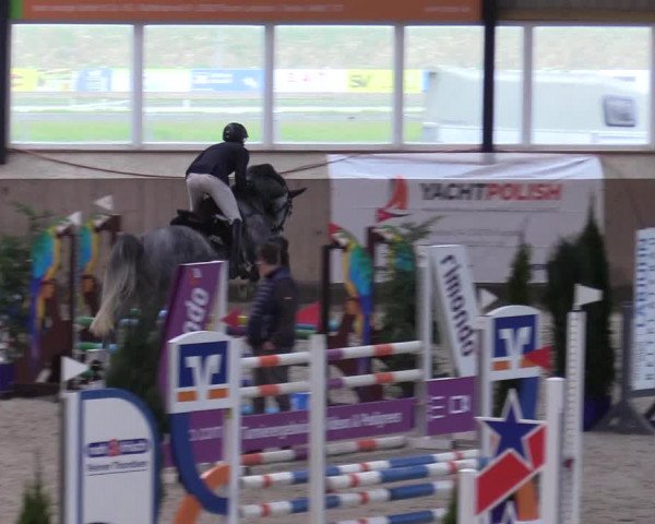 Reitturnier Niebüll 2023