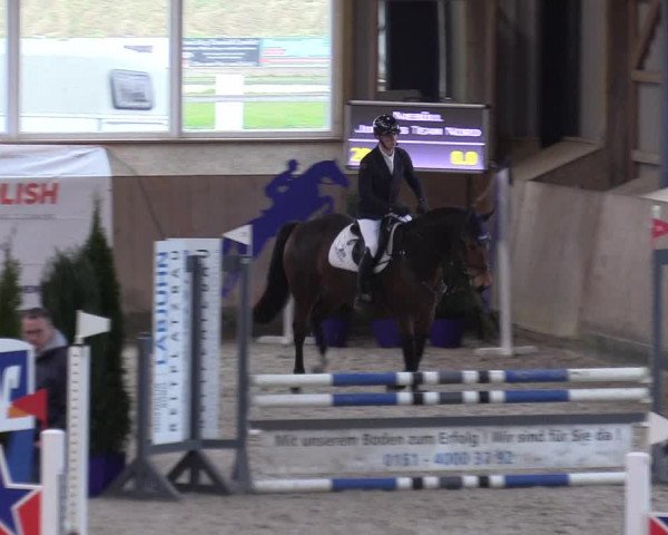 Reitturnier Niebüll 2023