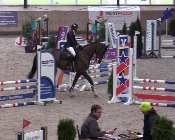 Reitturnier Niebüll 2023