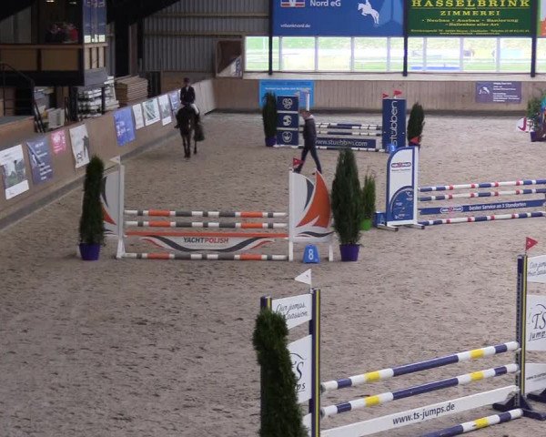 Reitturnier Niebüll 2023