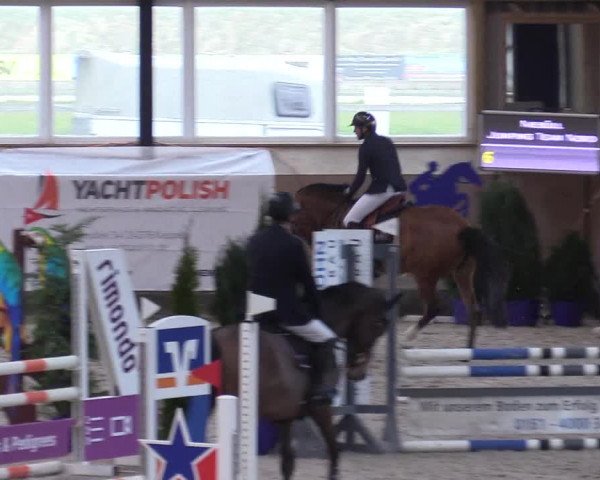 Reitturnier Niebüll 2023