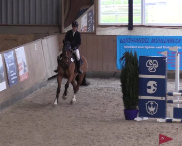 Reitturnier Niebüll 2023