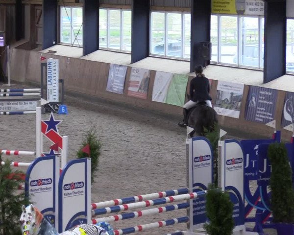 Reitturnier Niebüll 2023