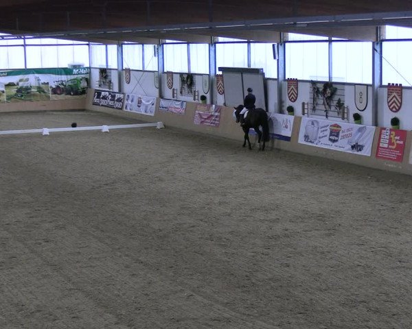 Reitturnier Borgholzhausen-Westbarthausen 2023