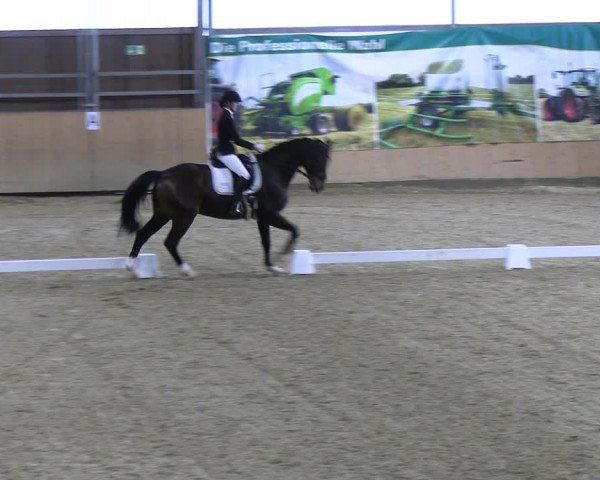 Reitturnier Borgholzhausen-Westbarthausen 2023