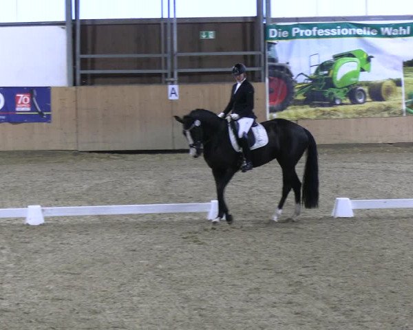 Reitturnier Borgholzhausen-Westbarthausen 2023