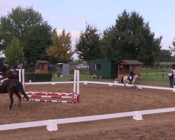 Reitturnier Westeregeln 2021