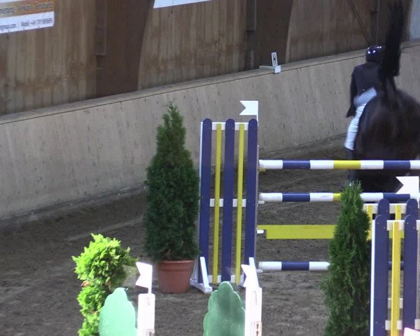 Reitturnier Hövelhof 2021