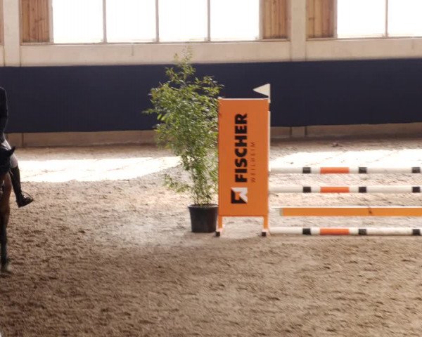 Reitturnier Weilheim/Teck 2023