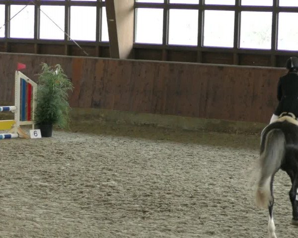 Reitturnier Päse 2023